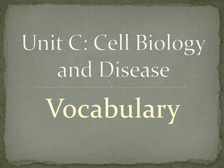 Vocabulary. The human blood group system based on the presence or absence of antigens on red blood cells.