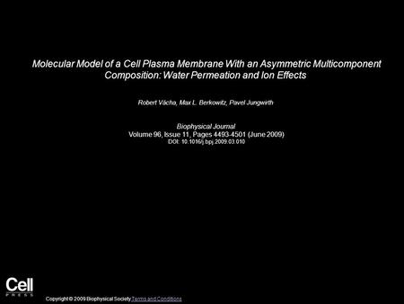 Molecular Model of a Cell Plasma Membrane With an Asymmetric Multicomponent Composition: Water Permeation and Ion Effects Robert Vácha, Max L. Berkowitz,