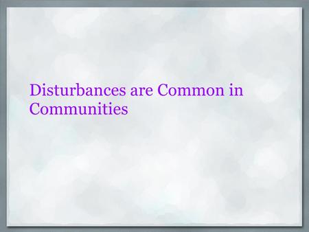 Disturbances are Common in Communities Negative-Natural disasters can lead to injuries and many worse things. such as loss of property, land and lives.