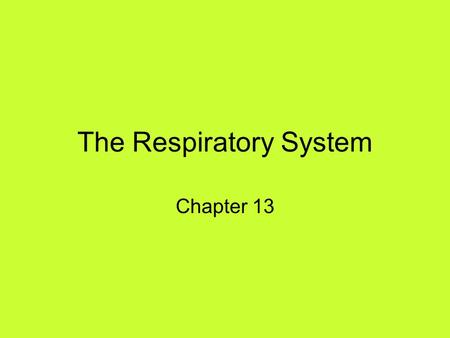 The Respiratory System Chapter 13. PRIMARY FUNCTIONS Exchange gases (oxygen and CO2) Produce vocal sounds Sense of smell Regulation of blood PH.