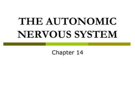 THE AUTONOMIC NERVOUS SYSTEM