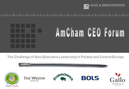 The Challenge of Non-Executive Leadership in Poland and Central Europe.