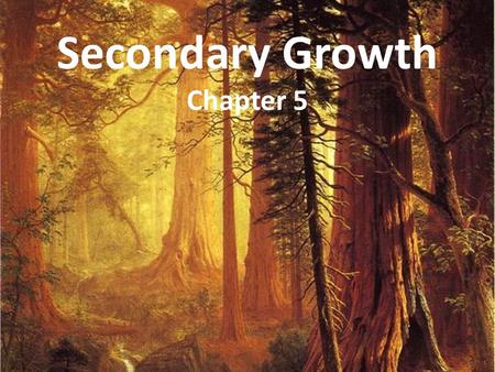 Secondary Growth Chapter 5. Secondary Growth Secondary growth is an increase in girth of a plant initiated by cell divisions in lateral meristems. In.