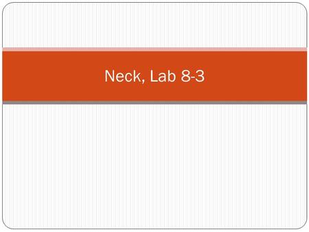 Neck, Lab 8-3. Esophagus Thyroid Submandibular Gland.