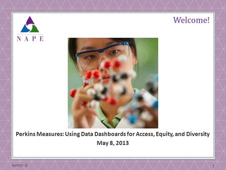 NAPEEF © 1 Welcome! Perkins Measures: Using Data Dashboards for Access, Equity, and Diversity May 8, 2013.