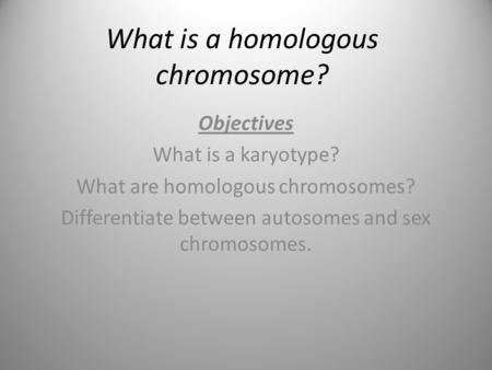 What is a homologous chromosome?