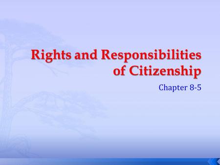 Rights and Responsibilities of Citizenship