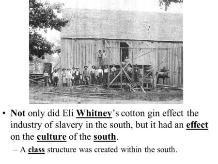 Not only did Eli Whitney’s cotton gin effect the industry of slavery in the south, but it had an effect on the culture of the south. –A class structure.