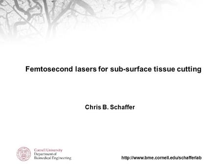 Femtosecond lasers for sub-surface tissue cutting Chris B. Schaffer.