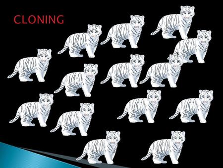 Cloning  A clone is an organism or piece of genetic material that is genetically identical to one that was preexisting  Making a clone in a lab is called.