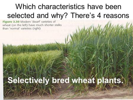 Which characteristics have been selected and why? There’s 4 reasons