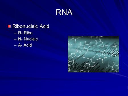 RNA Ribonucleic Acid –R- Ribo –N- Nucleic –A- Acid.