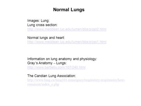 Normal Lungs Images: Lung: Lung cross section:  Normal lungs and heart: