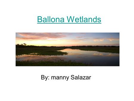 Ballona Wetlands By: manny Salazar. Info The Ballona Wetlands are located in Southern California, USASouthern CaliforniaUSA The wetlands once included.