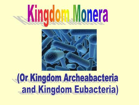 Prokaryotes Review: No true nucleus (no nuclear membrane) No cellular organelles Single celled The bacteria.