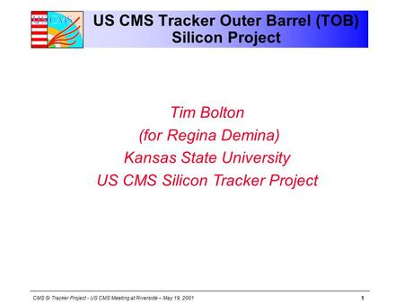 CMS Si Tracker Project - US CMS Meeting at Riverside – May 19, 2001 1 US CMS Tracker Outer Barrel (TOB) Silicon Project Tim Bolton (for Regina Demina)