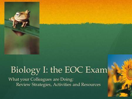 Biology I: the EOC Exam Biology I: the EOC Exam What your Colleagues are Doing: Review Strategies, Activities and Resources Review Strategies, Activities.