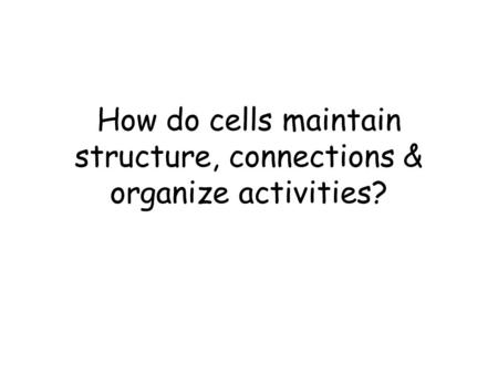 How do cells maintain structure, connections & organize activities?