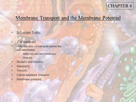 Membrane Transport and the Membrane Potential In Lecture Today: Cell membrane - Mechanisms of transport across the cell membrane: –Diffusion, and rate.