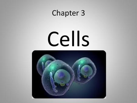 Chapter 3 Cells.