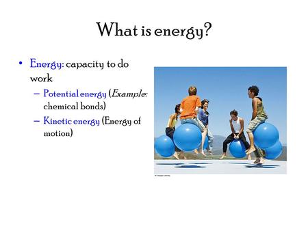 What is energy? Energy: capacity to do work – Potential energy (Example: chemical bonds) – Kinetic energy (Energy of motion)