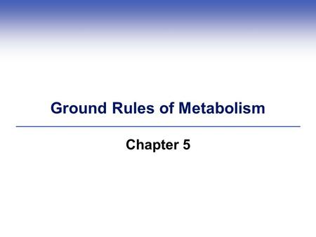 Ground Rules of Metabolism