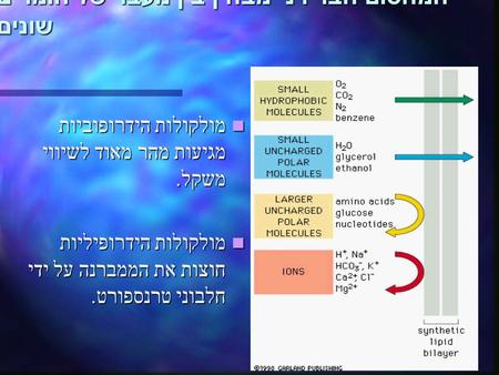 המחסום הברירני מבחין בין מעבר של חומרים שונים מולקולות הידרופוביות מגיעות מהר מאוד לשיווי משקל. מולקולות הידרופוביות מגיעות מהר מאוד לשיווי משקל. מולקולות.