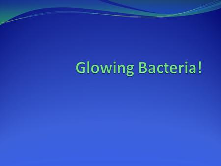 Glowing Bacteria!.