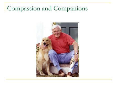 Compassion and Companions. Seniors Helping Animals Compassion and Companions Compassion and Companions is a program that will address the needs of homeless.