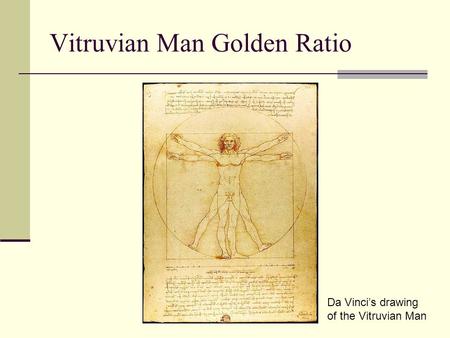 Vitruvian Man Golden Ratio Da Vinci’s drawing of the Vitruvian Man.