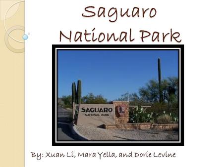 Saguaro National Park By: Xuan Li, Mara Yella, and Dorie Levine.