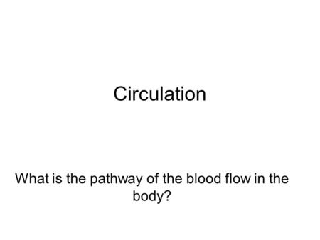 Circulation What is the pathway of the blood flow in the body?