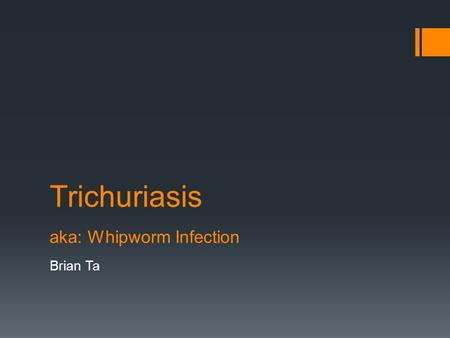 Trichuriasis aka: Whipworm Infection