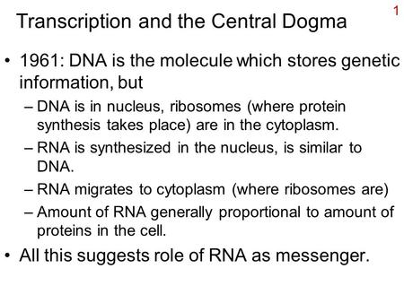 1 Transcription and the Central Dogma 1961: DNA is the molecule which stores genetic information, but –DNA is in nucleus, ribosomes (where protein synthesis.