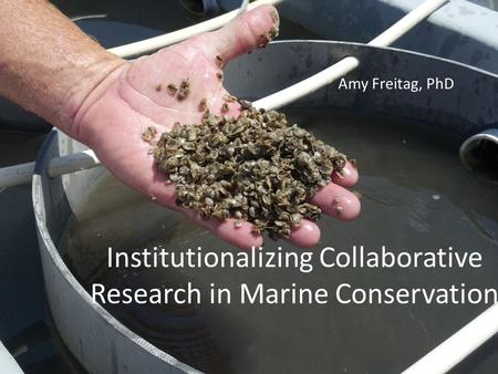 Institutionalizing Collaborative Research in Marine Conservation Amy Freitag, PhD.