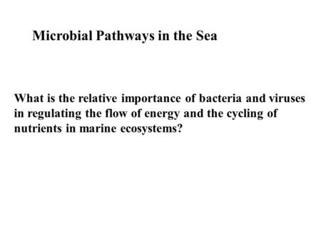 Microbial Pathways in the Sea What is the relative importance of bacteria and viruses in regulating the flow of energy and the cycling of nutrients in.