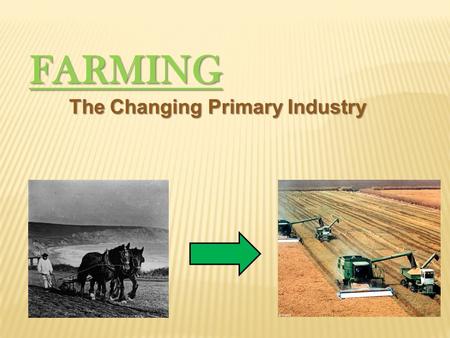 FARMING The Changing Primary Industry. History The first farming is rooted in ancient Turkey 10 000 ya, when nomadic tribes settled. Using wild grasses,