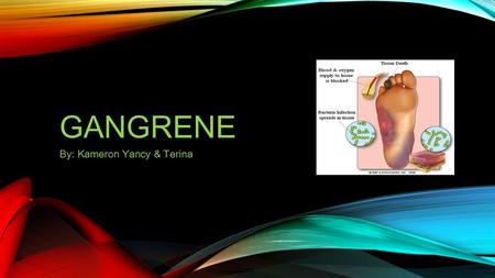 GANGRENE By: Kameron Yancy & Terina. What is Gangrene Gangrene is a condition that occurs when body tissue dies. It is caused by a loss of blood supply.