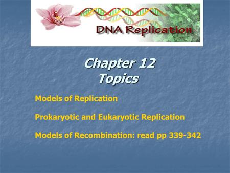 Chapter 12 Topics Chapter 12 Topics Models of Replication Prokaryotic and Eukaryotic Replication Models of Recombination: read pp 339-342.