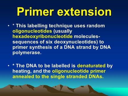 Primer extension * This labelling technique uses random oligonucleotides (usually hexadeoxyribonucleotide molecules- sequences of six deoxynucleotides)