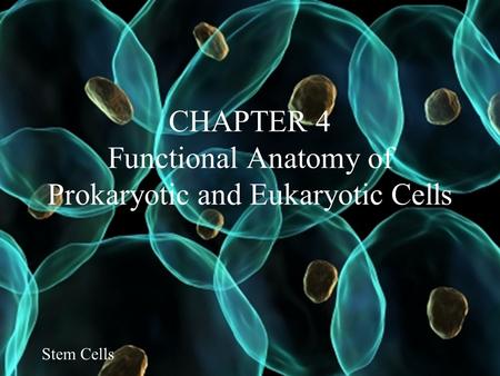 CHAPTER 4 Functional Anatomy of Prokaryotic and Eukaryotic Cells