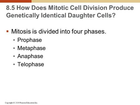 Copyright © 2009 Pearson Education Inc. 8.5 How Does Mitotic Cell Division Produce Genetically Identical Daughter Cells?  Mitosis is divided into four.