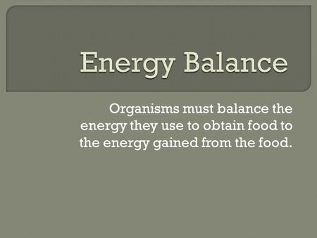 Organisms must balance the energy they use to obtain food to the energy gained from the food.