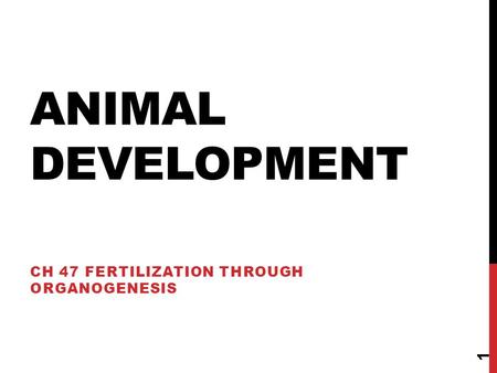 Ch 47 Fertilization through organogenesis