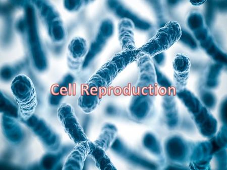 Eukaryotic Cell Cycle Cell cycle: repeating sequence of cellular growth and division during the life of the cell – Interphase – Mitosis – Cytokinesis.