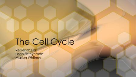 Rebekah Ha Leah Shteynman Marlon Whitney The Cell Cycle.