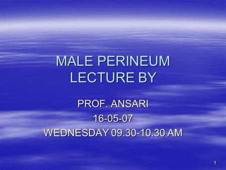 MALE PERINEUM LECTURE BY