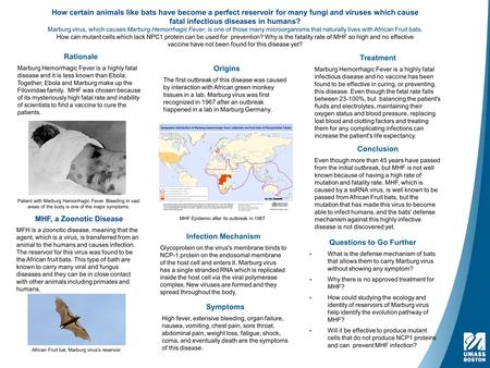 Rationale Marburg Hemorrhagic Fever is a highly fatal disease and it is less known than Ebola. Together, Ebola and Marburg make up the Filoviridae family.