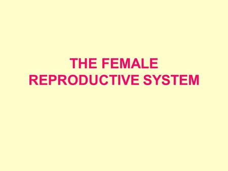 THE FEMALE REPRODUCTIVE SYSTEM. EXTERNAL ORGANS Labia majora- outer fold of tissue on either side of the vaginal opening Labia minora- inner folds of.