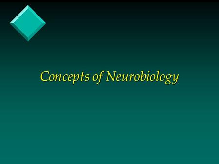 Concepts of Neurobiology. Introduction v The 1990’s was called the “decade of the Brain” with the challenge of studying the biological basis of behavior.